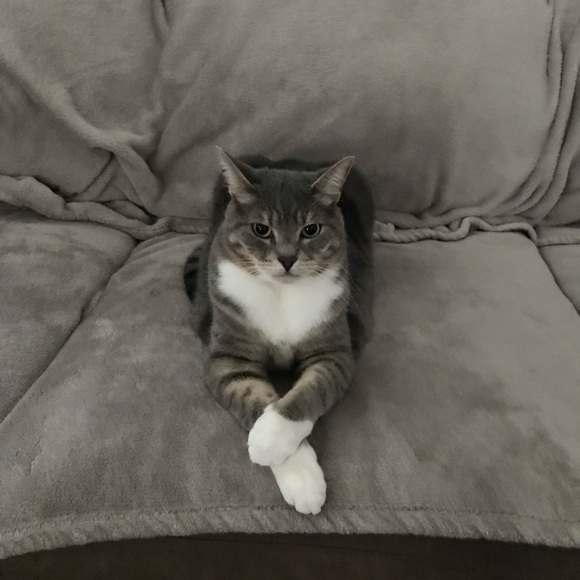 Meet your Posher, Brenda - Picture 1 of 1